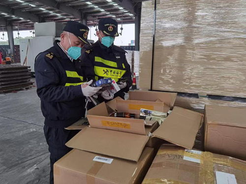 集裝箱里的“百貨公司” 外港海關(guān)查獲夾藏零售消費(fèi)品258箱